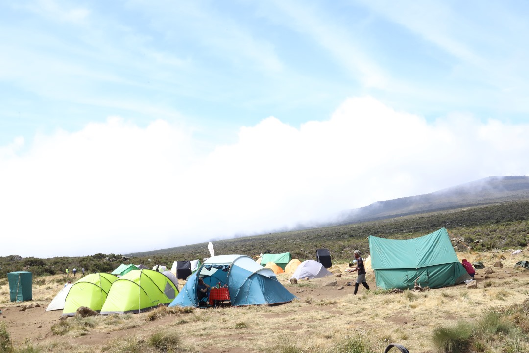 Kilimanjaro climbing matreces