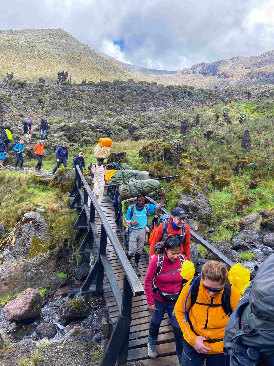 kilimanjaro safari bridge