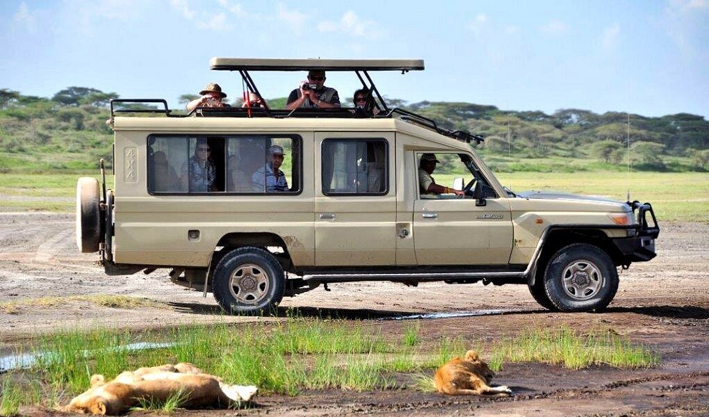 safari vehicles