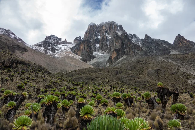 umbwe route kilimanjaro