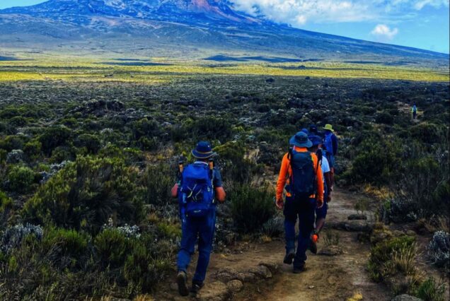 6 Days Marangu Route