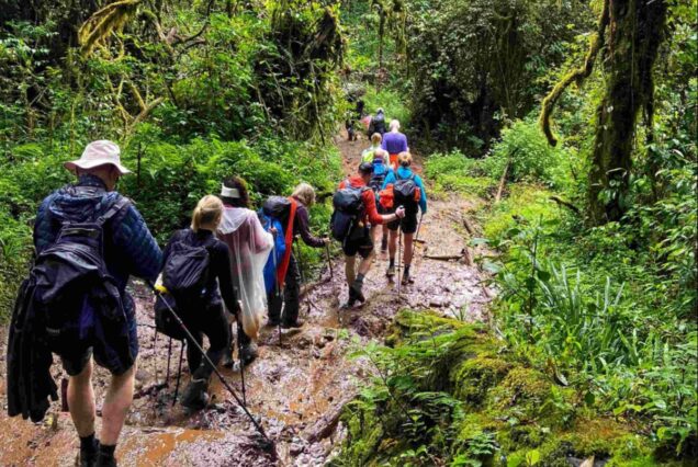 7 Days Lemosho Route