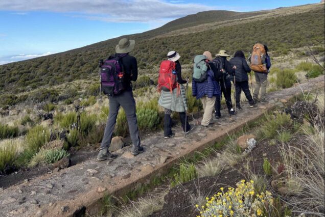 5 Days Marangu Route