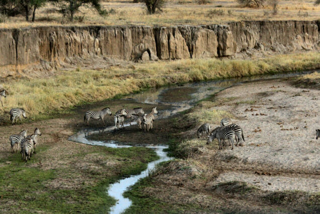 1 Day Tarangire National Park