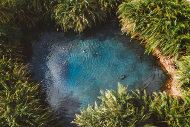 1 Day Kikuletwa Hot Springs