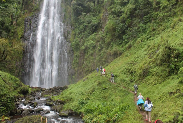 1 Day Materuni Waterfalls