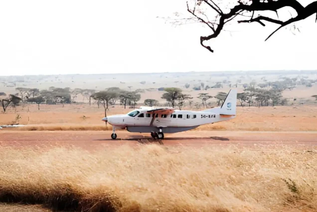 3-Day Serengeti Fly in Safari